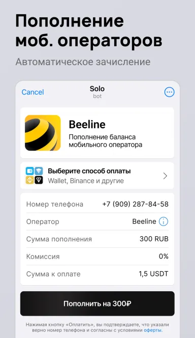 Picture Solo  – Make any payments | TON App 4 | TON app