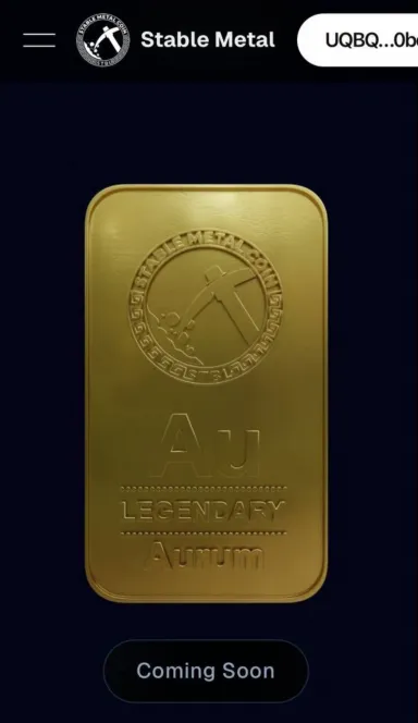 Picture Stable Metal – RWA investment platform | TON App 6 | TON app