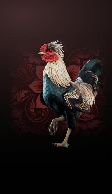 Picture Rooster Fights – 1st Rooster TON PvP! 250K+ installs | TO… 5 | TON app