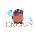 Picture TonCapy – Welcome to TonCapy | TON App 2 | TON app