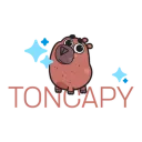 Picture 132 | TON app