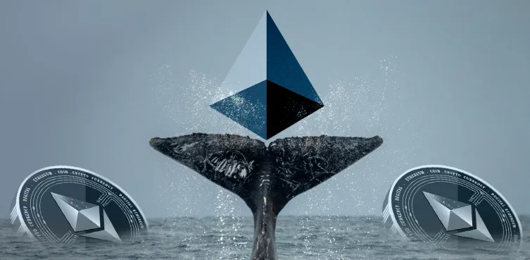 Picture Ethereum Nears Potential Bottom as Experts and Whales Accumulate 2 | TON app