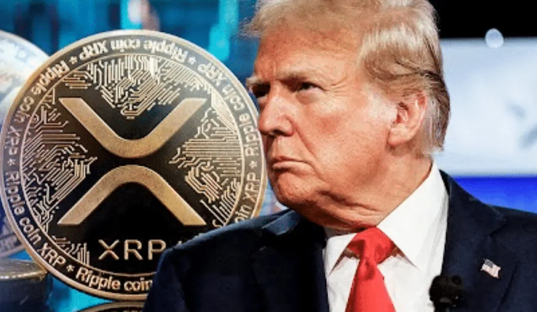 Picture News 3 | TON app