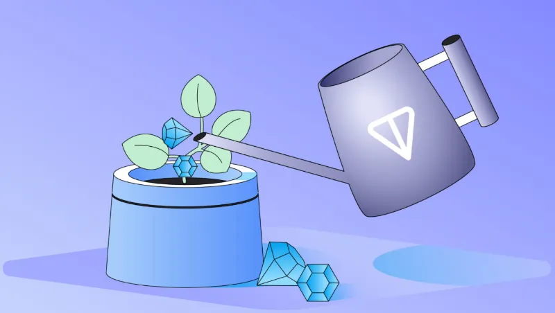 Picture The Impact of TON’s Grant: A Year of Innovation Funding in 2024 2 | TON app