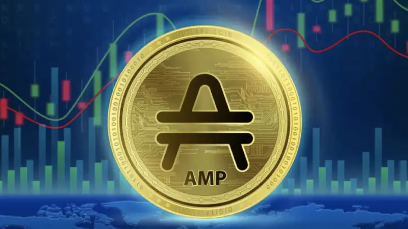 Picture Amp Explained: Everything You Need to Know 2 | TON app