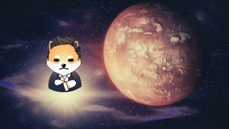 Picture Understanding Dogelon Mars: Features and Potential 3 | TON app
