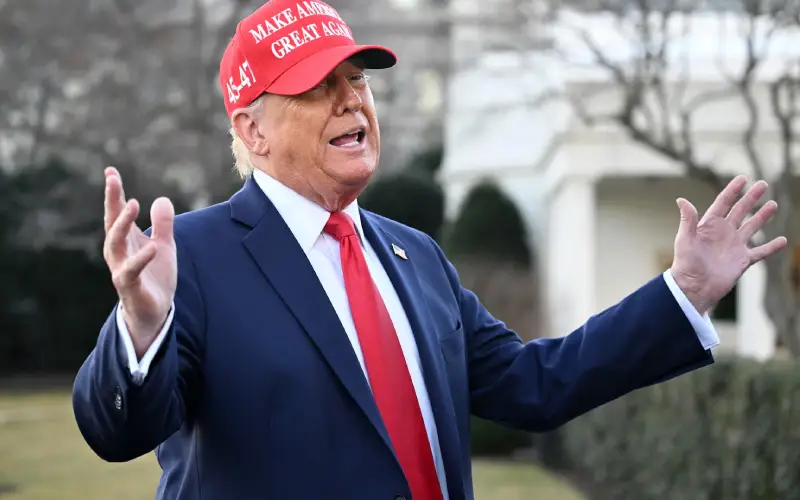 Picture MAGA: Origins, Meaning, and Impact 3 | TON app