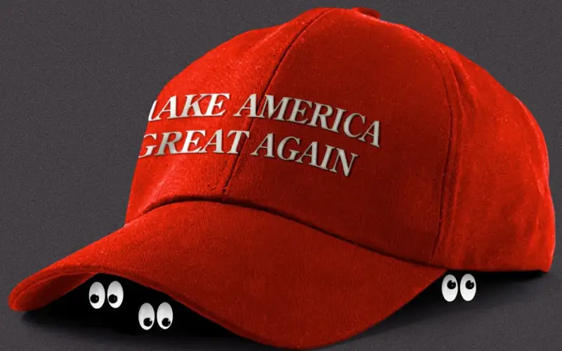 Picture MAGA: Origins, Meaning, and Impact 2 | TON app