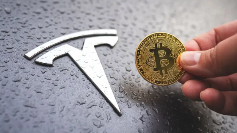 Picture What Is TeslaCoin and How Does It Work? 2 | TON app