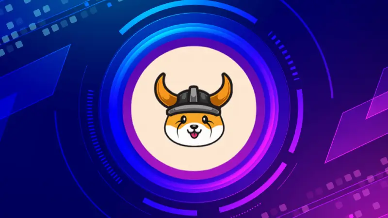 Picture What You Should Know About Floki Inu (FLOKI) 2 | TON app
