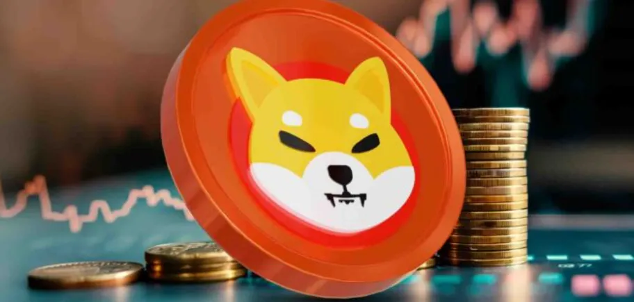 Picture Blog 8 | TON app