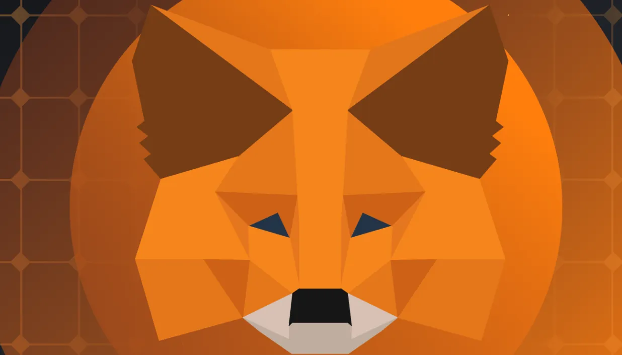 Picture What Is MetaMask? 3 | TON app