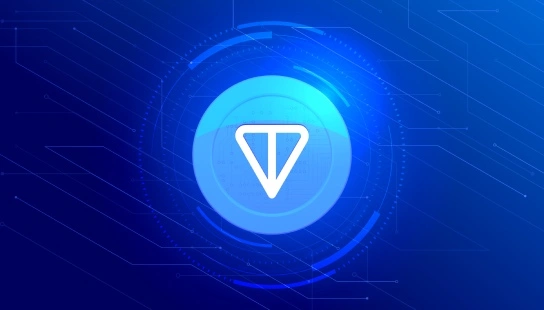 Picture Blog 4 | TON app